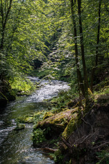 Obraz premium View from the wild Edmunds Gorge in Bohemian Switzerland near the town of Decin, Czech Republic
