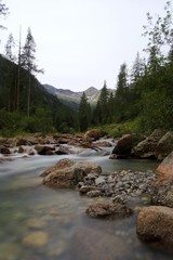 A river among the woods and nature of the Italian Alps, near the town of Macugnaga - August 2019.