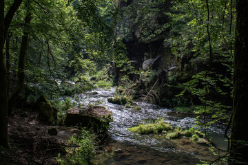 View from the wild Edmunds Gorge in Bohemian Switzerland near the town of Decin, Czech Republic