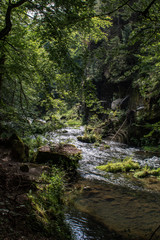 View from the wild Edmunds Gorge in Bohemian Switzerland near the town of Decin, Czech Republic