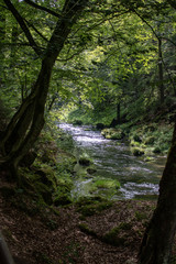 View from the wild Edmunds Gorge in Bohemian Switzerland near the town of Decin, Czech Republic