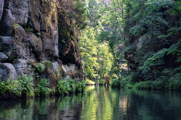 View from the wild Edmunds Gorge in Bohemian Switzerland near the town of Decin, Czech Republic