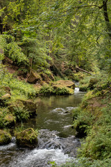 View from the wild Edmunds Gorge in Bohemian Switzerland near the town of Decin, Czech Republic