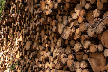 View from a pile of wood in Bohemian Switzerland near the town of Decin, Czech Republic