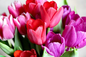 Fototapeta premium Flowers bouquet of color tulips for 8 of march, birthday, holiday, mother's day, valentine day with greetings