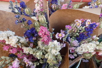 Dried Flowers