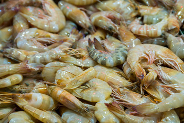 In the fish store, shrimps on stand.