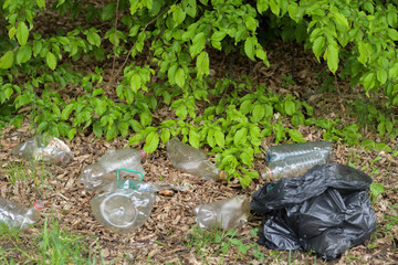 Young boy volunteers gathering garbage in park