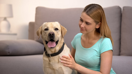 Female dog owner admiring labrador retriever at home animal and human friendship