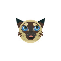 Brown Siamese cats face with blue eyes vector illustration
