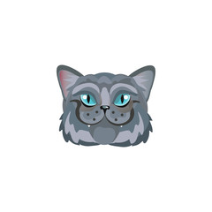 Old grey cats face with blue eyes vector illustration