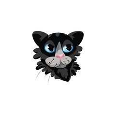 Black fluffy cats face with blue eyes vector illustration