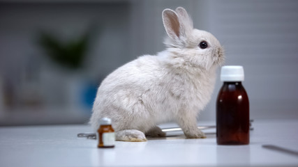 Cute bunny sitting on veterinarian table among medicine bottles, vet clinic ad