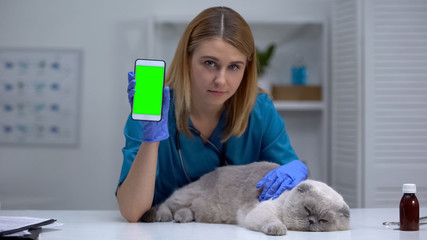 Female vet with cat showing phone, pet health app, online vaccine registration