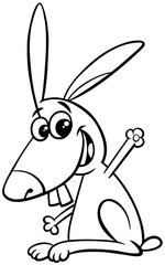 happy rabbit cartoon coloring book