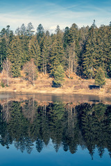 Obraz premium lake in forest