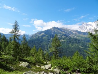 The "Monte Rosa" Massif seen from the woods and the pastures of the older valley, near the town of Macugnaga - August 2019.