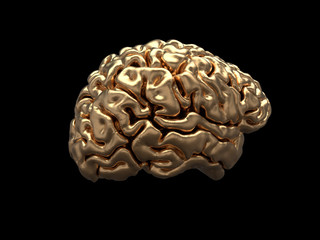 golden human brain on black background