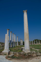 The corinthian columns in ancient gymnasium in antique town Salamis, sunny day and blue sky, Famagusta, Nothern Cyprus