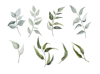 Fototapeta na wymiar Set of watercolor leaves. Hand drawn elements