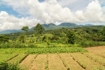 Fototapeta na wymiar Scenic views of the central area of Bali, Indonesia