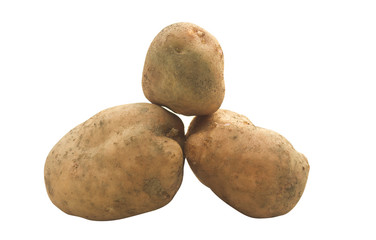 Fototapeta na wymiar three fresh potato fruit isolated on white background