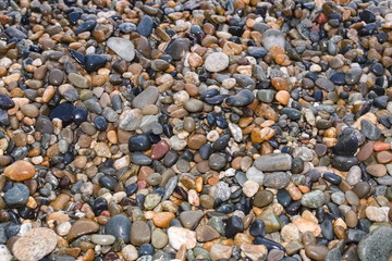 Texture multicolored round sea pebbles. Natural background of medium sized stones.
