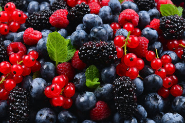 Blackberry, raspberry, blueberry,  red currant and mint background.