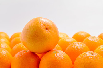 Group of oranges in a row isolated on white background, Space for text or design.