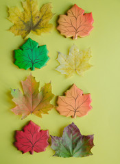 Autumn leaves and gingerbread cookies in the form of maple leaves on a yellow background.