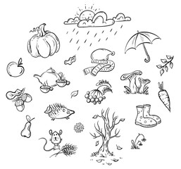 Obraz premium Autumn clipart set, cartoon vector illustration, hand-drawn