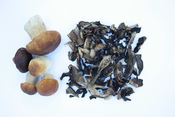 Fresh and dried forest mushrooms on a white background