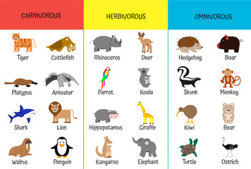 Carnivores, herbivores, omnivores. Animals by category. Educational card for children. Zoology for schoolchildren and preschoolers. Bear, shark, anteater, giraffe, hippo, kiwi, lion, ostrich