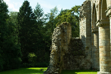 Ancient ruins wall with trees at background