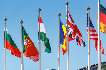 Flags of different countries on the flagpoles in sunlight