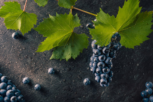 Bunch of fresh ripe blue grapes on dark stone surface
