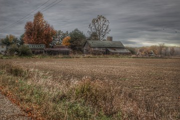 0415 - Birch Run Road Greys II (0415-BAR-102918-0951A)