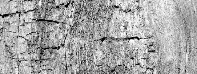 Holz Hintergrund Holzhintergrund abstrakt schwarz weiß