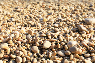 Closeup view of pebble beach on sunny day