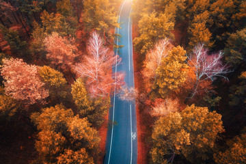 Aerial view of the road in beautiful autumn forest at sunset. Top view of perfect asphalt roadway, trees with orange foliage in fall. Colorful landscape with highway through the woodland. Travel
