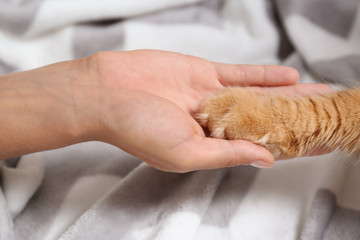 Woman and cat holding hands together on warm blanket, closeup view
