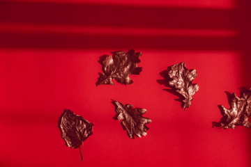 Rose gold dried fall leaves on red background from above. Direct sun light, focus on the shadows. Autumnal minimalism flatlay. Copyspace for text