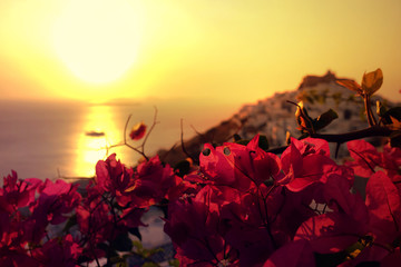 Picturesque castle of Astypalaia island as seen at sunrise through beautiful bougainvillea in blossom, Dodecanese, Greece - obrazy, fototapety, plakaty