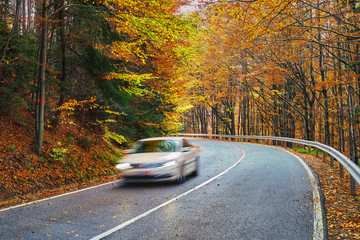 Car speeding through forest