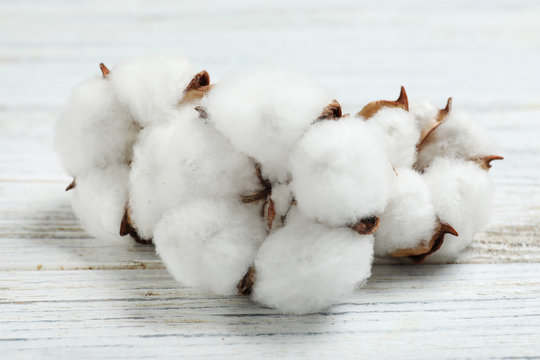 Fluffy cotton flowers on white wooden background, closeup