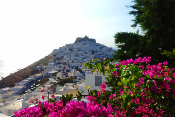 Naklejka premium Picturesque castle of Astypalaia island as seen through beautiful bougainvillea in blossom, Dodecanese, Greece