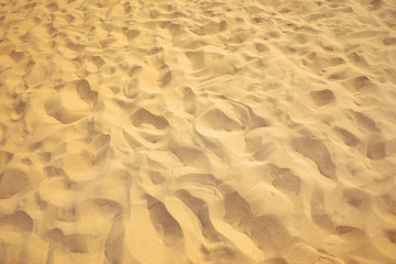 Fototapeta na wymiar Beautiful sandy beach on sunny summer day