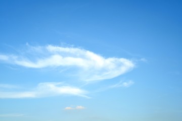 a low angle shot on white clouds resemble a 