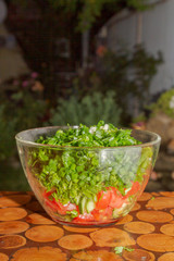 Prepared salad of fresh vegetables and herbs in a glass bowl