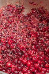 Crushed red cranberry berry lies in the pan before cooking